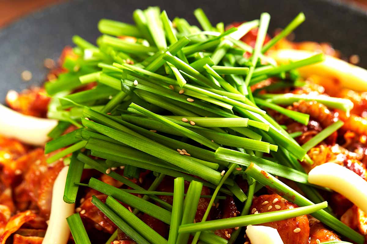 这是一幅用于糖醋鸡肉配菜的韭菜的近距离水平图像。