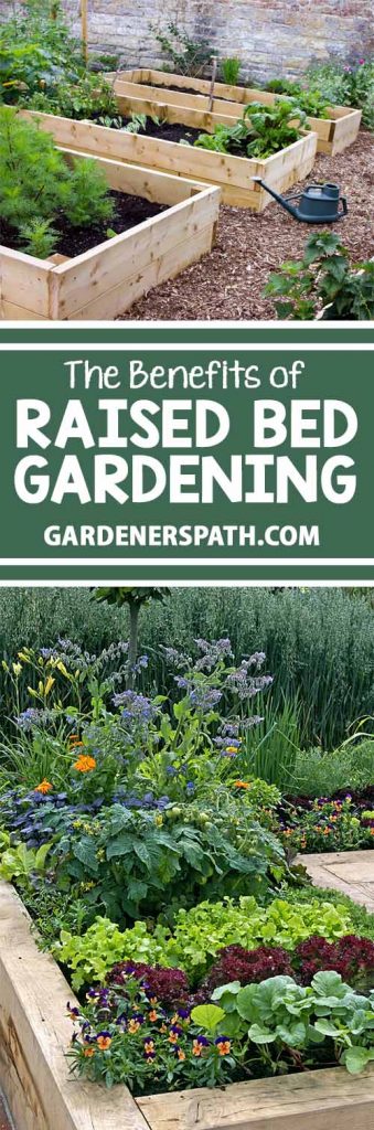 A collage of photos showing different raised beds made of wood and growing a variety of vegetables.