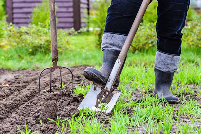 挖掘我们的春天园艺清单。| Gardenerspath.com