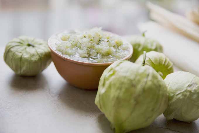 如何收获番茄| GardenersPath.com