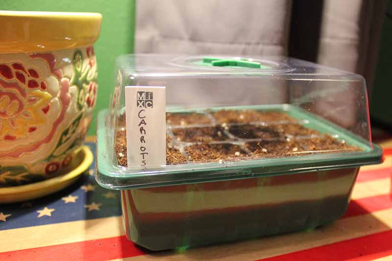 一个绿色的塑料种子盘，塑料湿度顶部和白色标签，在软焦点背景上，一个彩色的陶瓷锅在框架的左边。