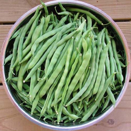 一碗“蓝湖”扁豆放在一个陶瓷碗里，放在一个木制的表面上。