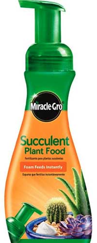 白色背景上的Miracle-Gro多肉植物食物的近距离垂直图像。
