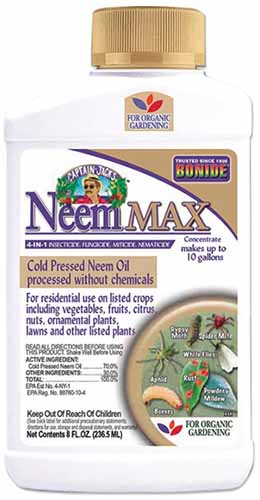 一瓶Bonide NeemMax冷榨印楝油孤立在白色背景上的近距离垂直图像。