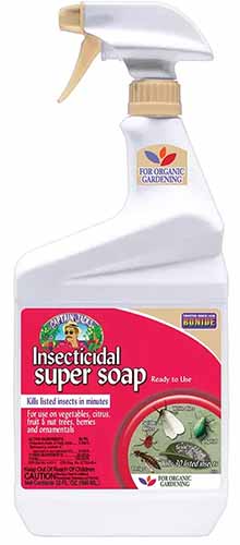 密切的一瓶Bonide杀虫超级Soap孤立在白色背景。